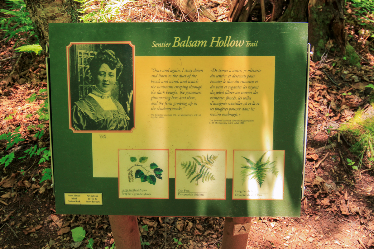 Balsam Hollow Trail sign