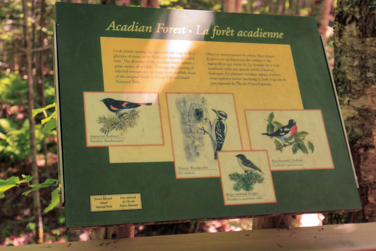 Acadian forest sign
