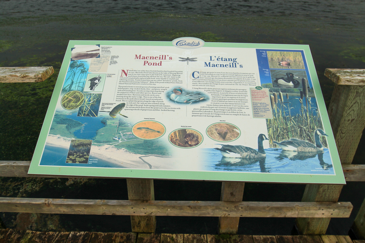 Macneill's Pond sign