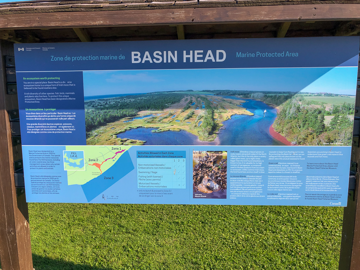 Basin Head sign
